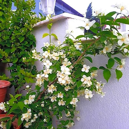 Ξενοδοχείο Paradise House
